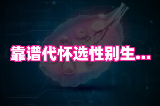 gfg孕网 2