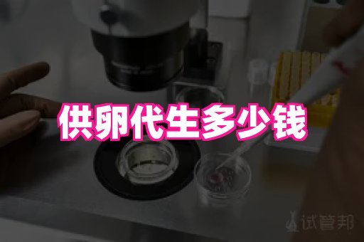 gfg孕网 4